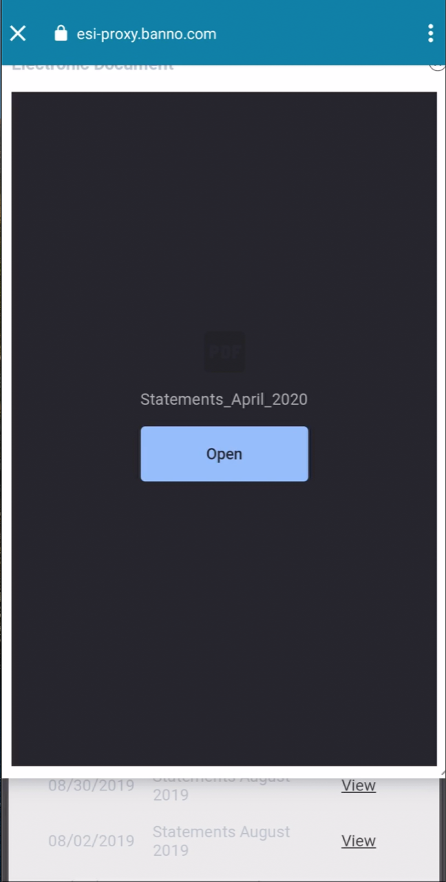 Statements and Settings: Screenshot 6